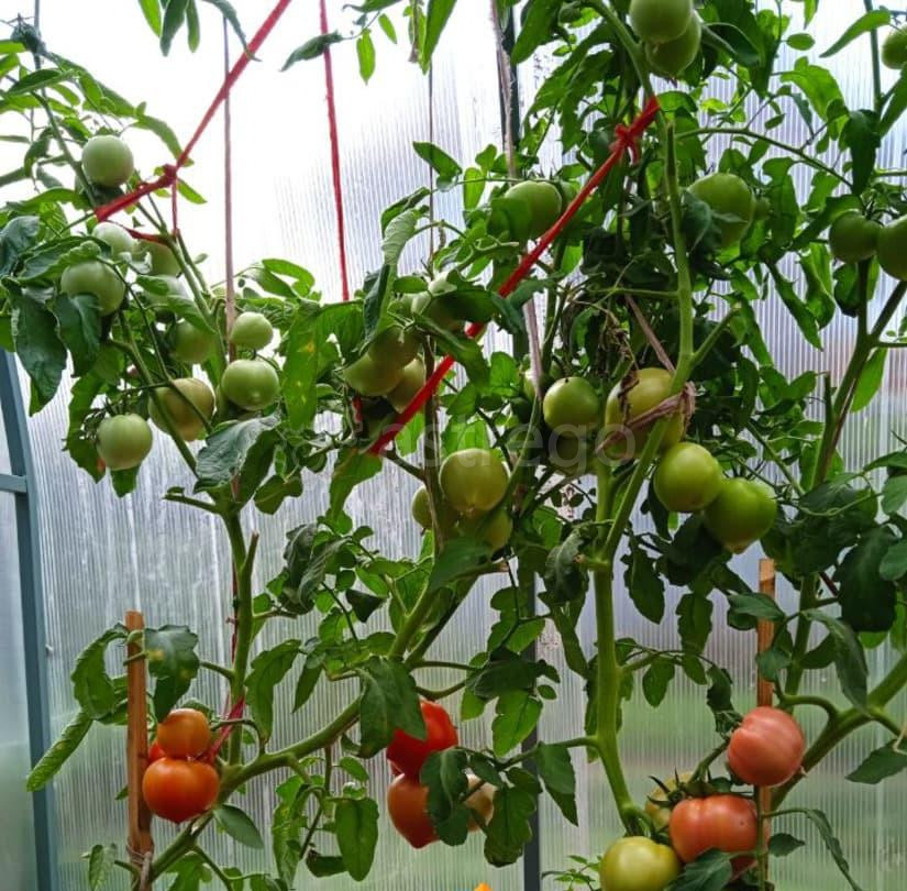 Дом, 50 м2, 4 сотки Уфа - изображение 5