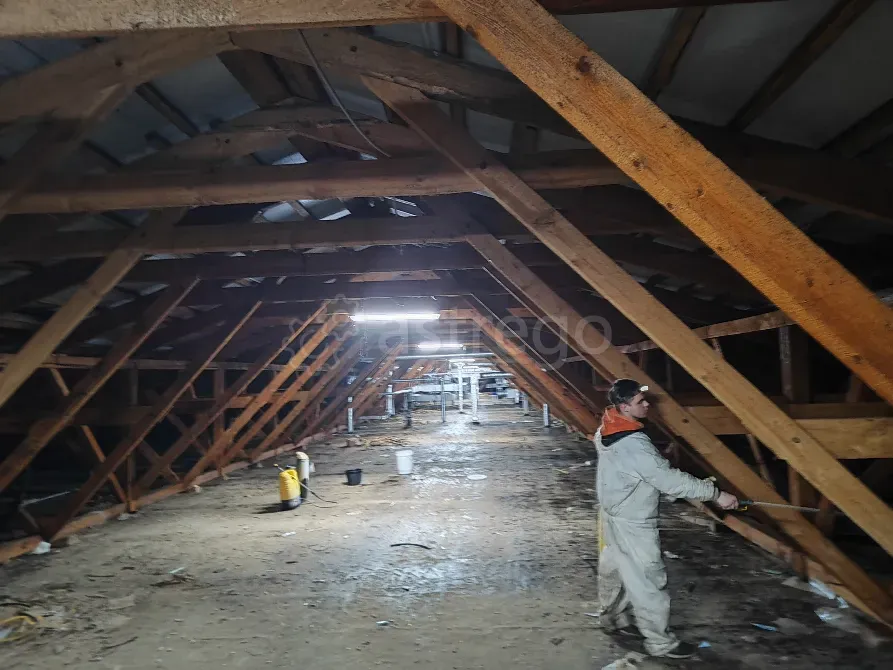 Огнезащитная обработка Москва - изображение 6