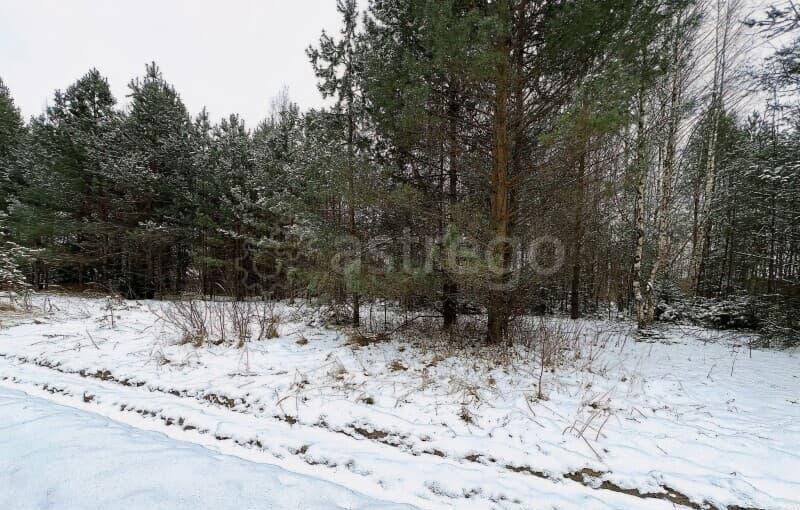 Земельный участок, 12 соток Егорьевск - изображение 5