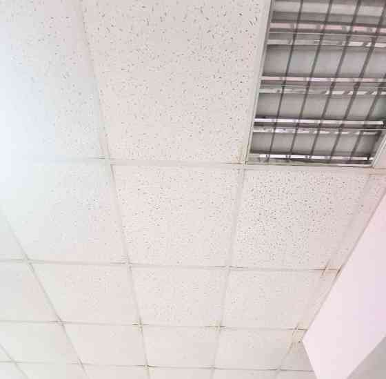 Свободного назначения, 54 м2 Дмитров