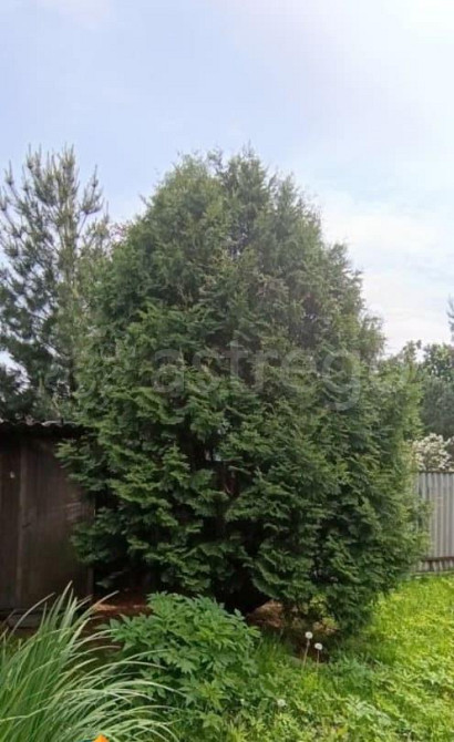 Земельный участок, 8.5 сотки Майма - изображение 3