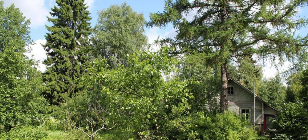 Земельный участок, 16 соток Санкт-Петербург - изображение 7