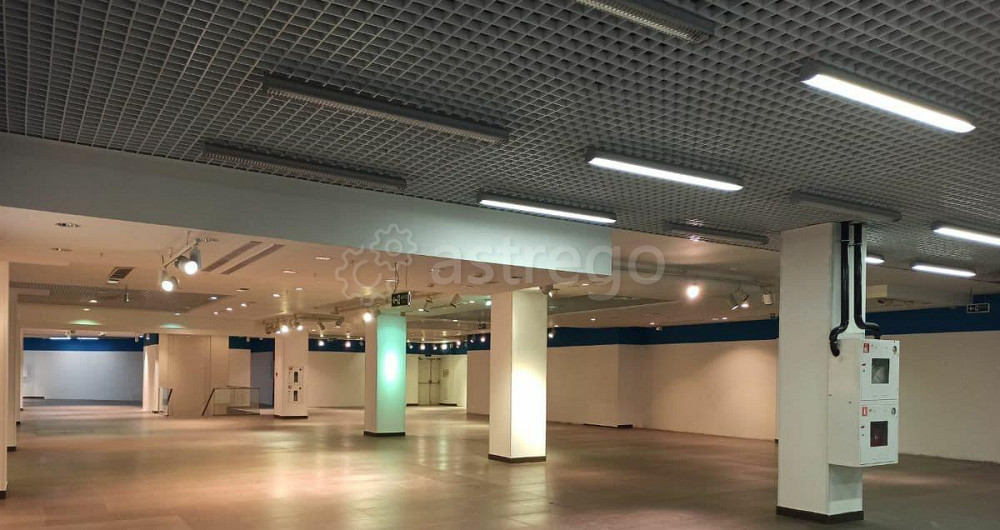 Торговое помещение, 950 м2 Уфа - изображение 5