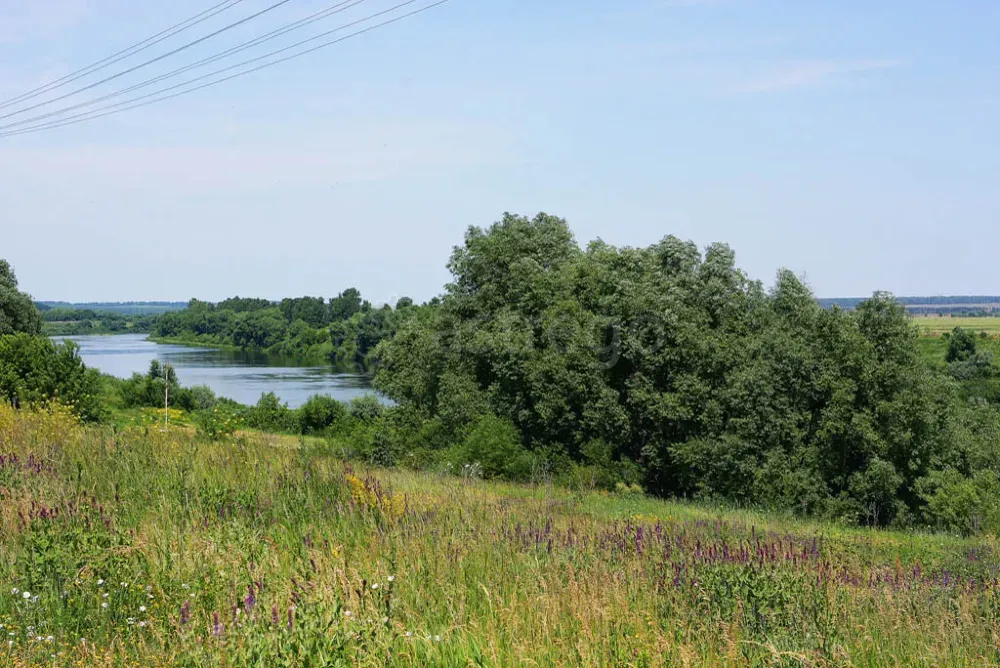 Продам участок, ИЖС 4000 сот. Елец - изображение 7