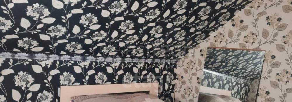 Дом, 46.8 м2, 40 соток, 2 эт. Емельяново - изображение 5