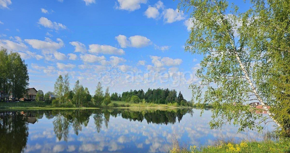 Земельный участок, 11.5 сотки Шаховская - изображение 4