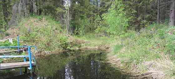 Дом, 60 м2, 15.8 сотки, 1 эт. Коноша