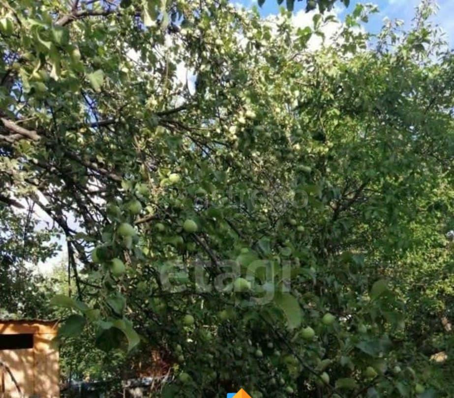 Дом, 50 м2, 4 сотки, 2 эт. Нефтекамск - изображение 5