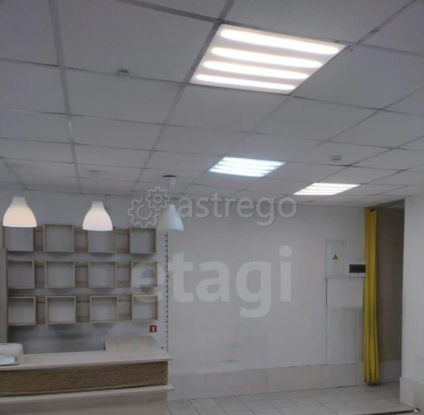 Торговое помещение, 216.8 м2 Красноярск - изображение 6