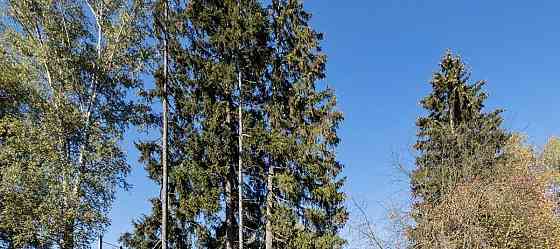 Дом, 293.8 м2, 10.33 сотки, 2 эт. Королев