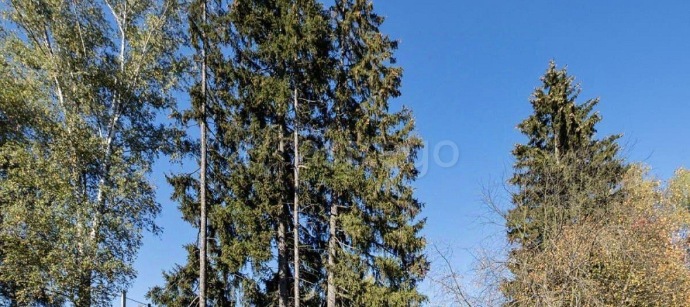 Дом, 293.8 м2, 10.33 сотки, 2 эт. Королев - изображение 5