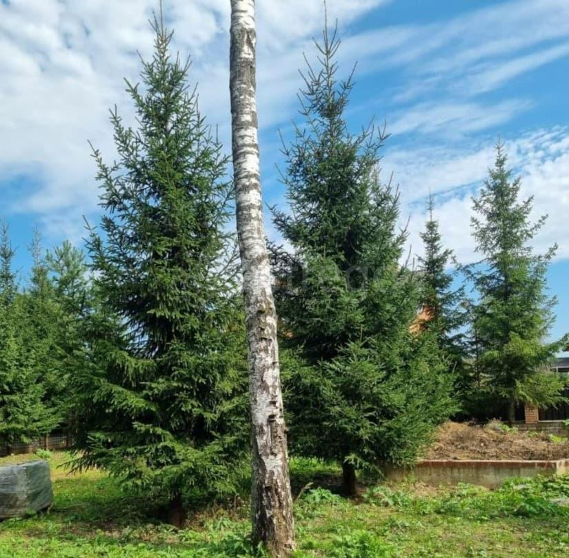 Дом, 67.9 м2, 8 соток, 2 эт. Москва - изображение 7