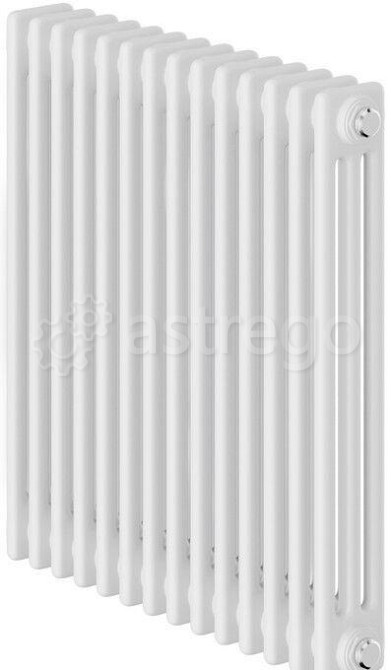 Стальной трубчатый радиатор 3-колончатый Royal Thermo Insignia C3050 - 14 секций RAL9016, боковое 1/ Нижний Новгород - изображение 1