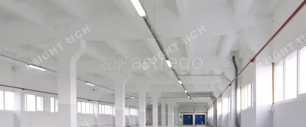 Склад, 11303.5 м2 Щёлково - изображение 6