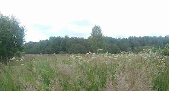 Земельный участок, 15.01 сотки Шаховская