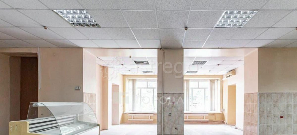 Торговое помещение, 288 м2 Барнаул - изображение 6