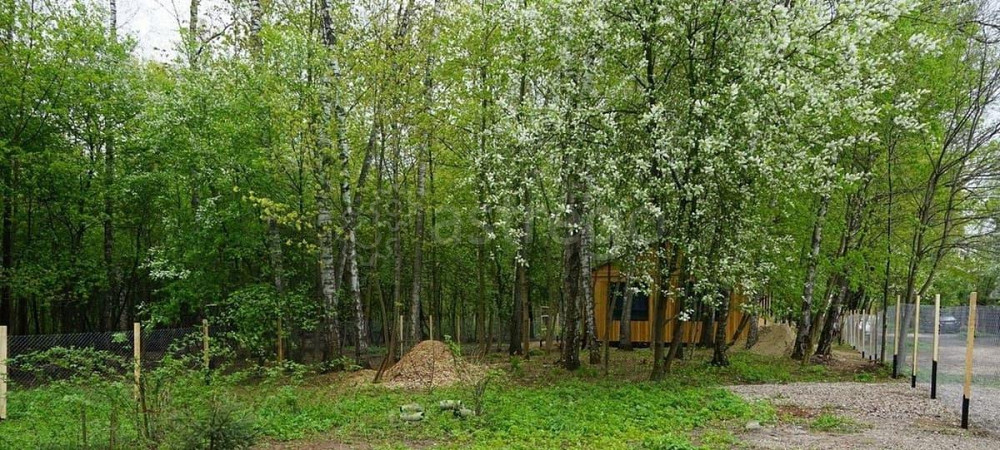 Земельный участок, 6.3 сотки Балашиха - изображение 5