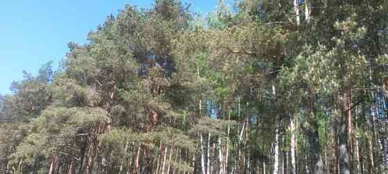 Земля под ИЖС, 9 соток Павловский Посад