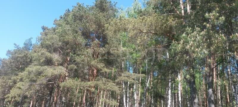 Земля под ИЖС, 9 соток Павловский Посад - изображение 6