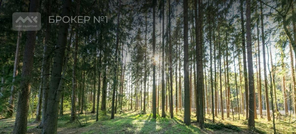 Земельный участок, 20 соток Санкт-Петербург - изображение 7