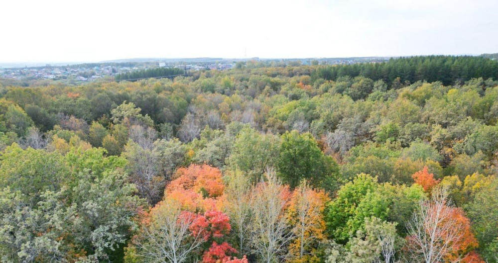 Коттедж, 670 м2, 33 сотки, 1 эт. Иглино - изображение 6