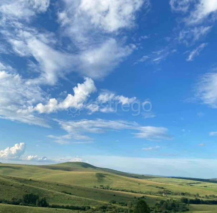 Земельный участок, 70 га Алтайское - изображение 3