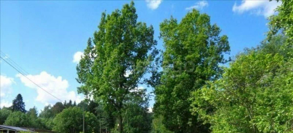 Земельный участок, 6.02 сотки Раменское - изображение 1