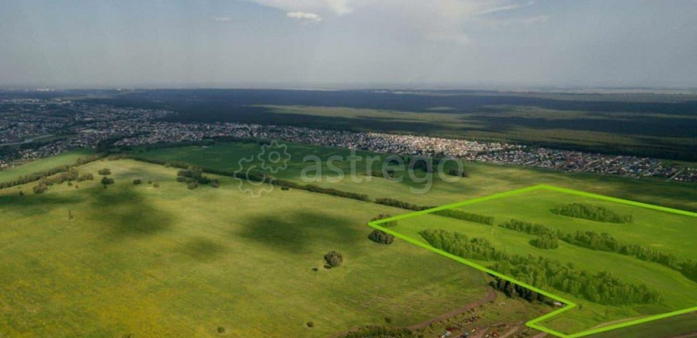 Земельный участок, 74.73 га Барнаул - изображение 2