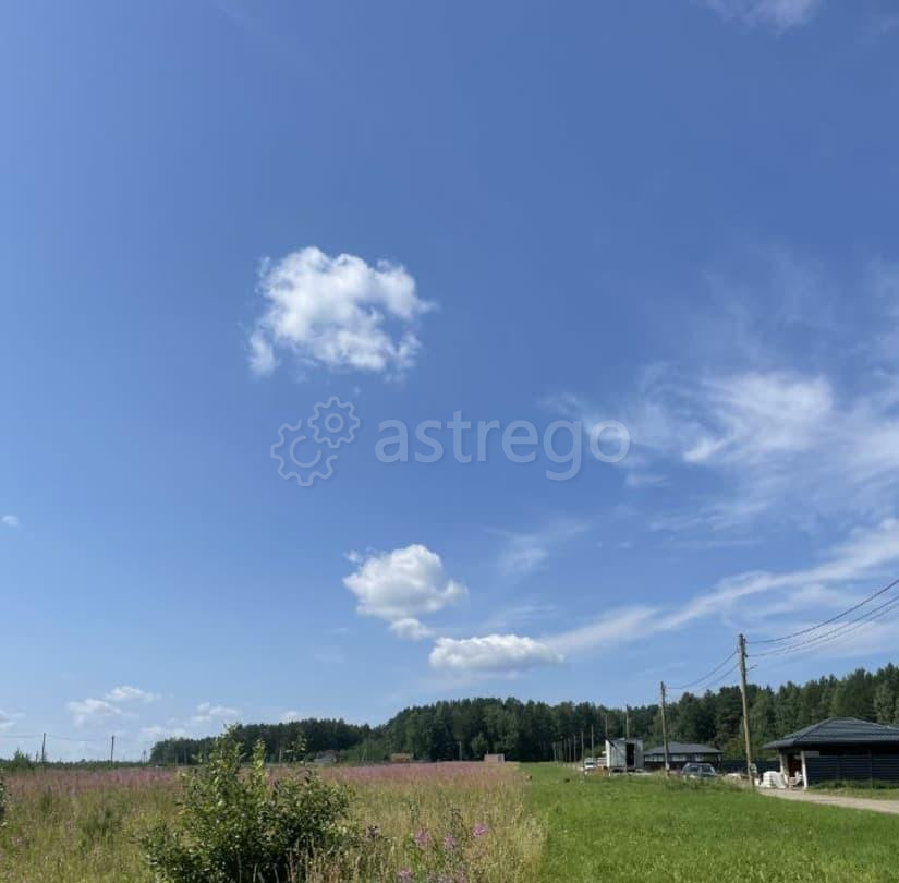 Земельный участок, 10 соток Емельяново - изображение 7