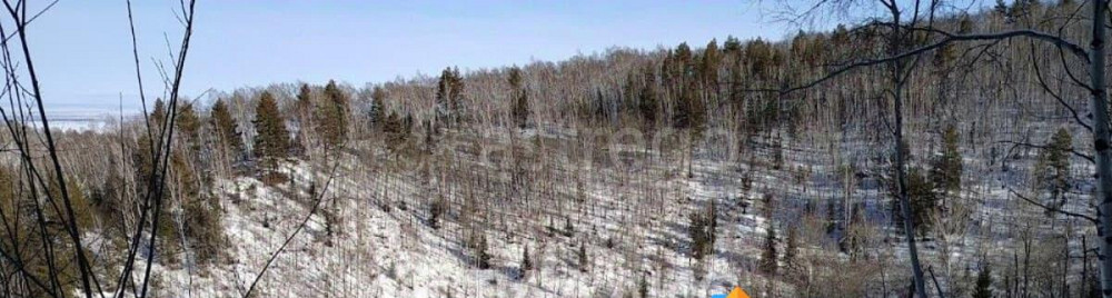 Коммерческий участок, 38.01 га Белокуриха - изображение 1