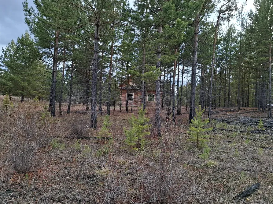 Продам участок, Садовый 16 соток Улан-Удэ - изображение 3