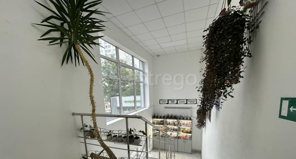 Торговое помещение, 32.3 м2 Химки - изображение 4