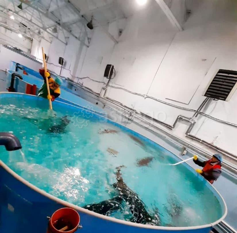 Производственное, 1000 м2 Благовещенск - изображение 6