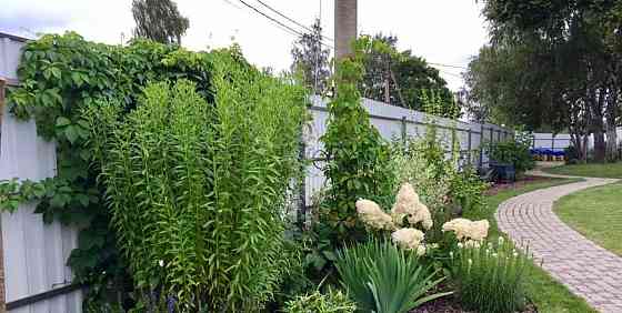 Дом, 405 м2, 15 соток, 3 эт. Волоколамск