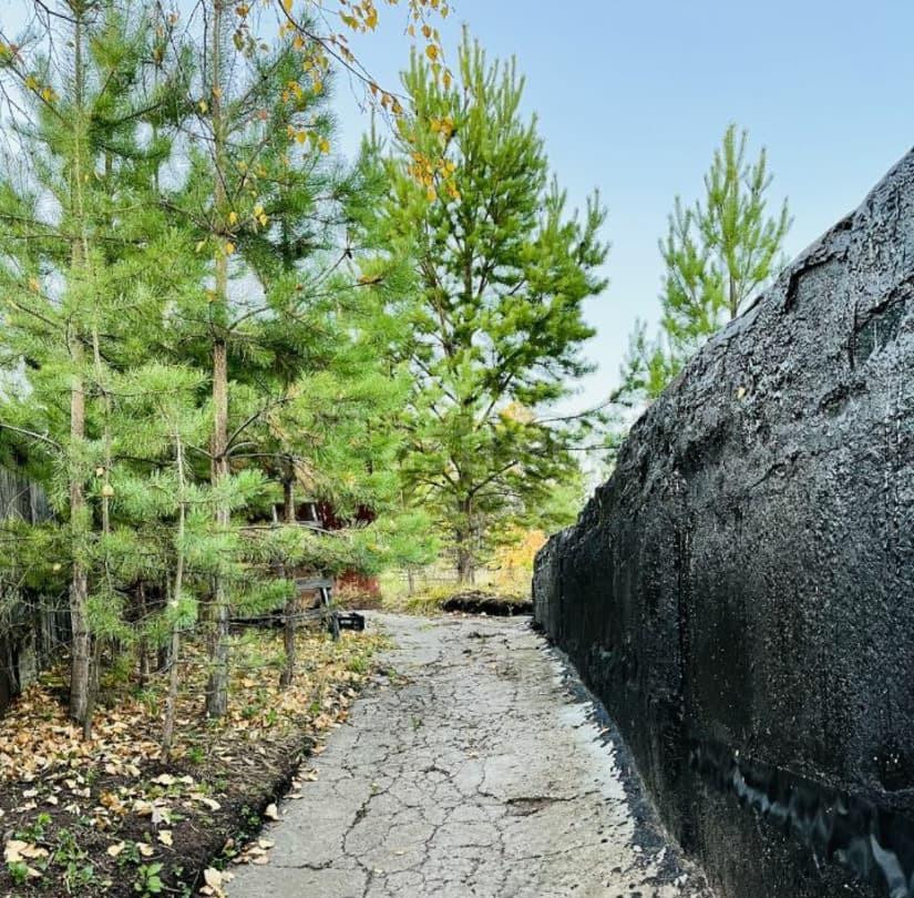 Дом, 60 м2, 10 соток, 1 эт. Березовка - изображение 3