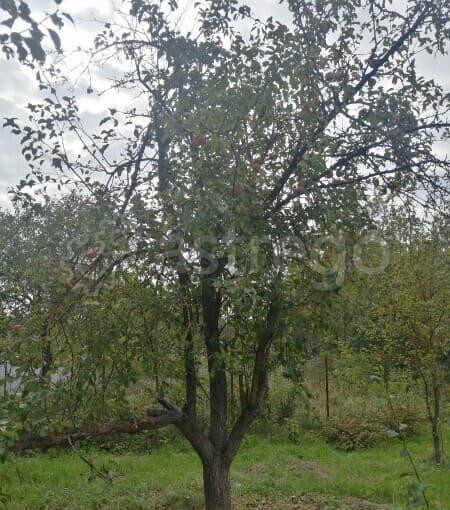 Дача, 28 м2, 3 сотки Воскресенск - изображение 9