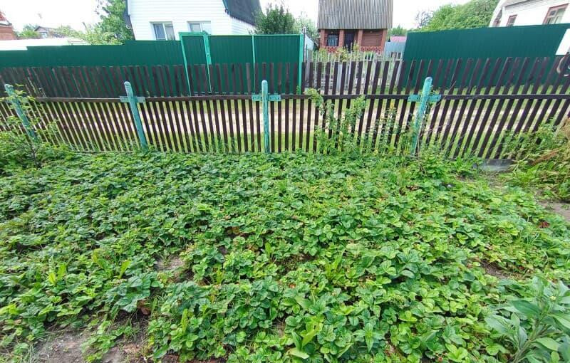 Дача, 81 м2 Воскресенск - изображение 5