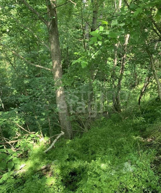 Земельный участок, 0.64 га Тульский - изображение 5