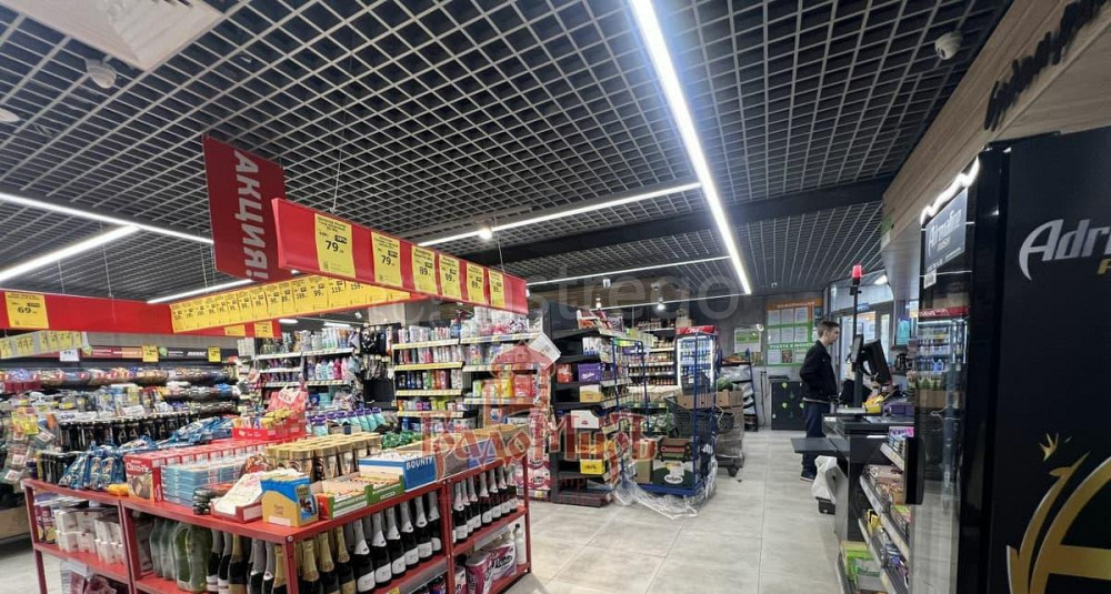 Свободного назначения, 493.9 м2 Хотьково - изображение 5