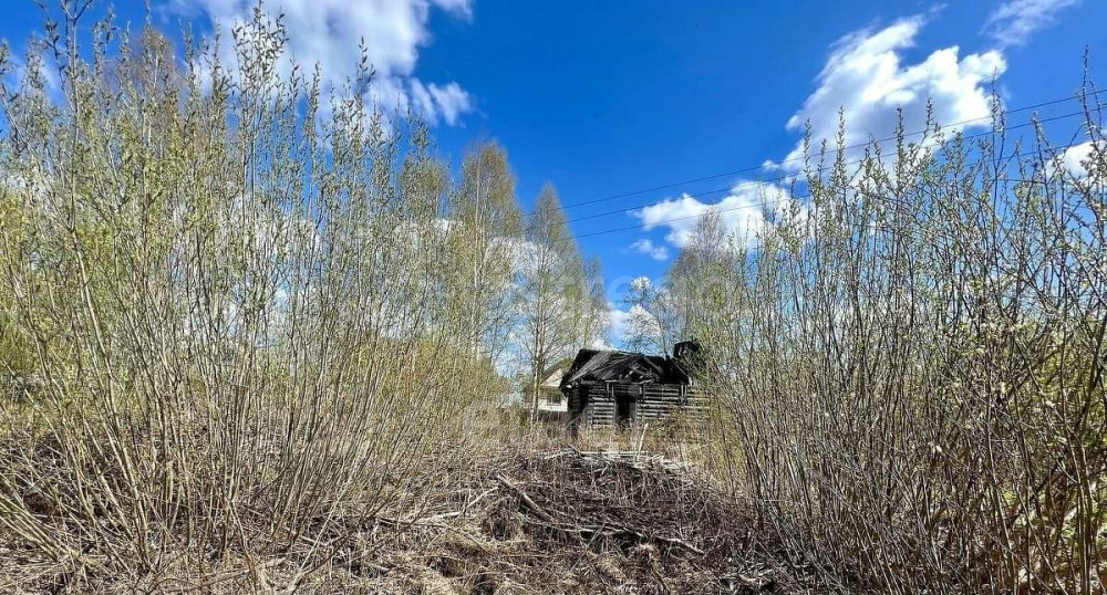 Земельный участок, 12 соток Котлас - изображение 7