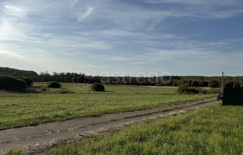 Земля под ИЖС, 30 соток Можайск - изображение 2