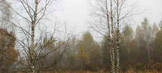 Земельный участок, 15 соток Шаховская