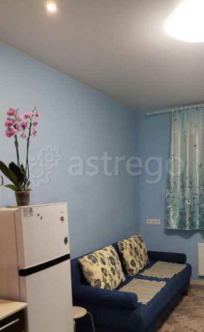 Студия, 24.5 м2, 4/17 эт. Лыткарино - изображение 5