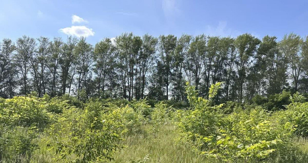 Земельный участок, 21.6 га Кармаскалы - изображение 1