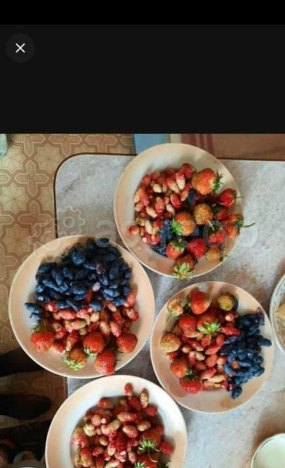 Земельный участок, 17 соток Благовещенск - изображение 2