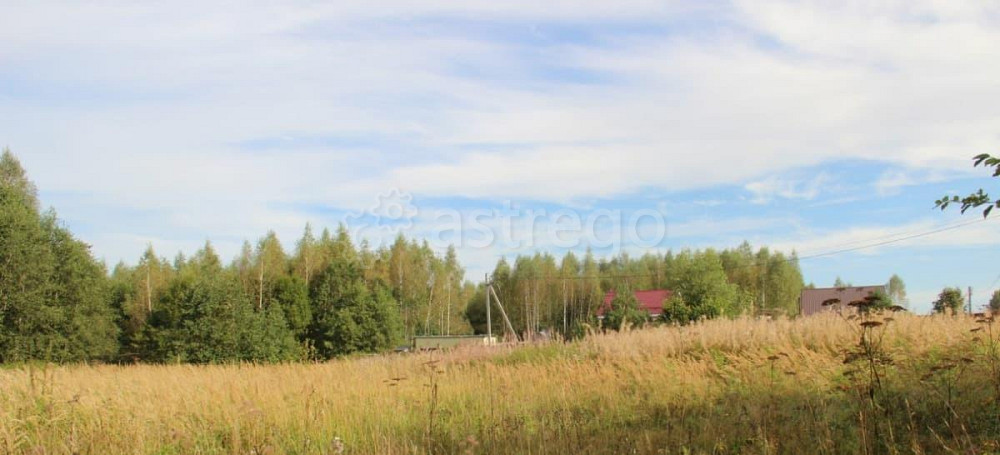 Земельный участок, 12 соток Шаховская - изображение 1