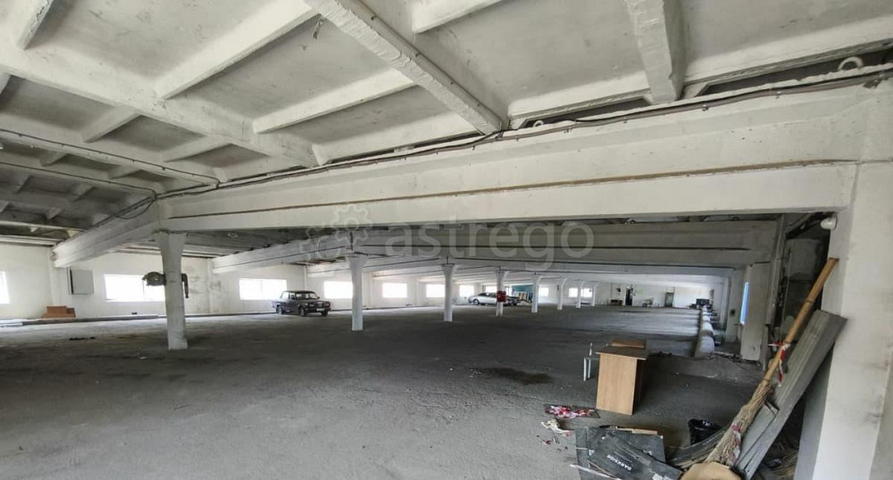 Свободного назначения, 1336.6 м2 Благовещенск - изображение 2