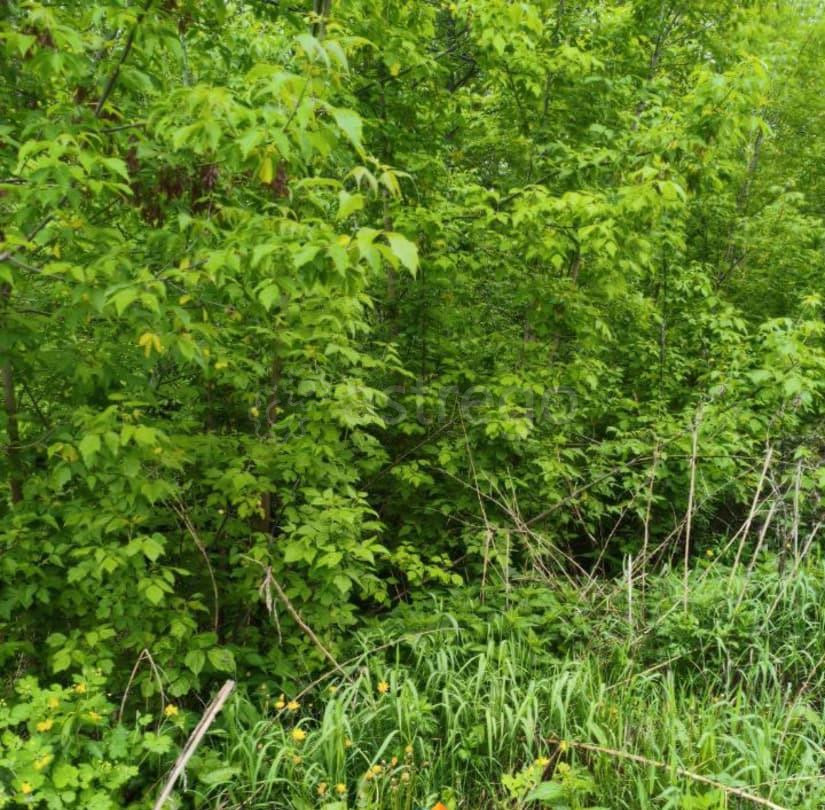 Земельный участок, 18.6 сотки Шатура - изображение 2