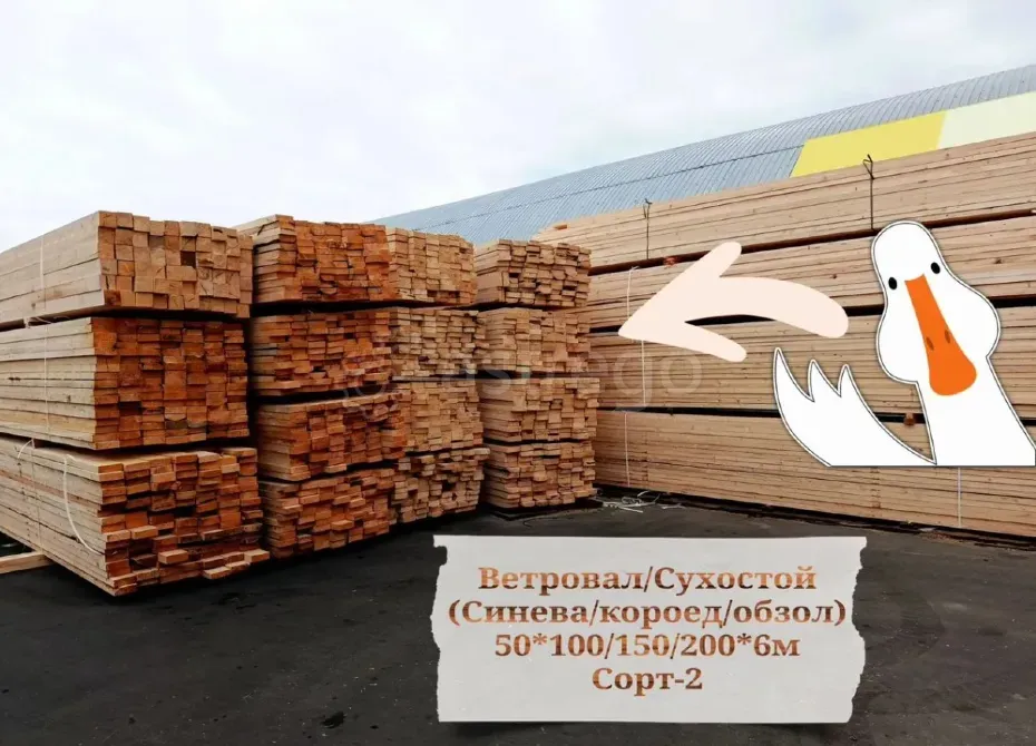 Доска брус сорт 2 Шарья - изображение 5