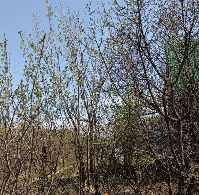 Дом, 30 м2, 6 соток, 1 эт. Уфа - изображение 6